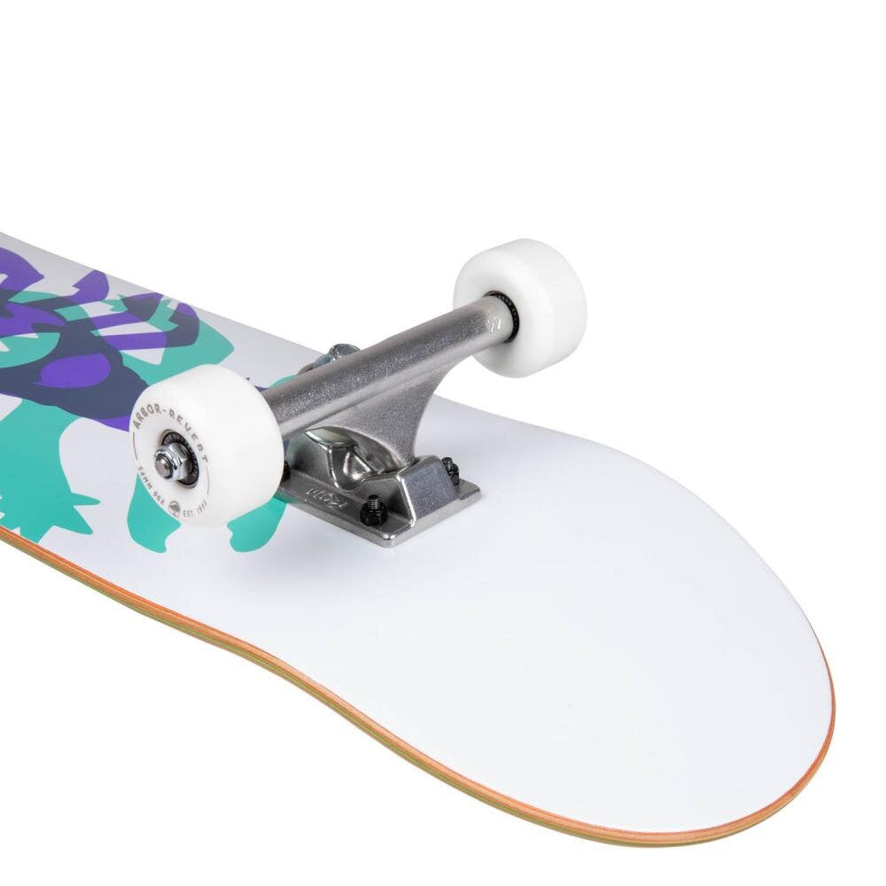 Skateboard Complet Arbor Street Chroma