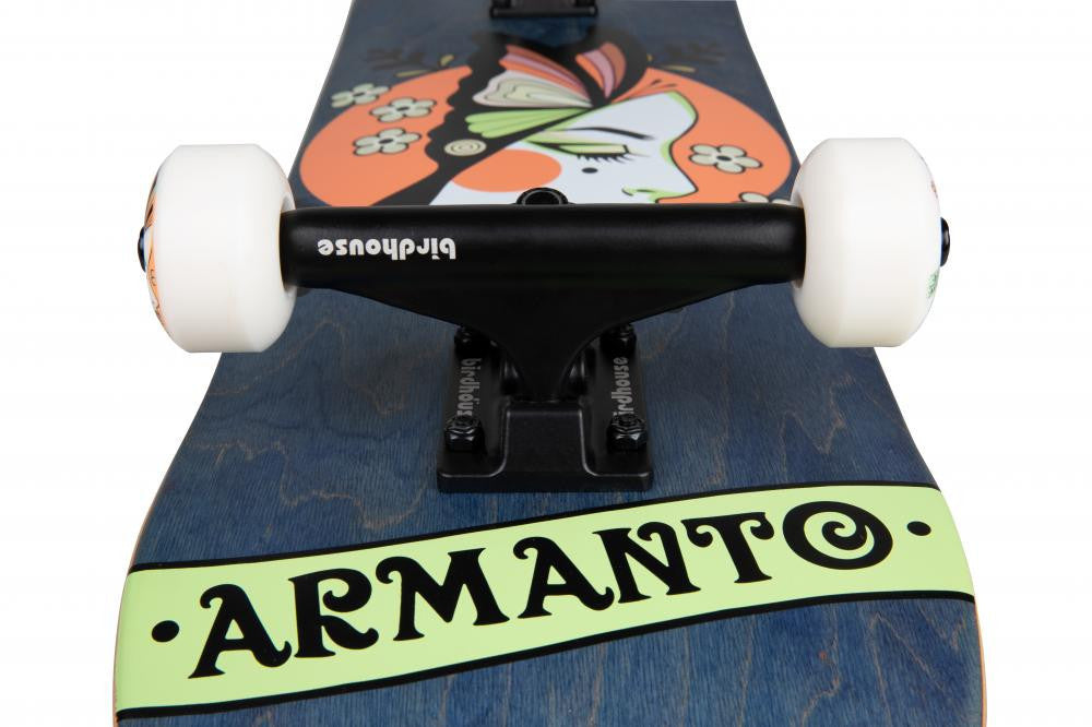 Skateboard Complet Birdhouse