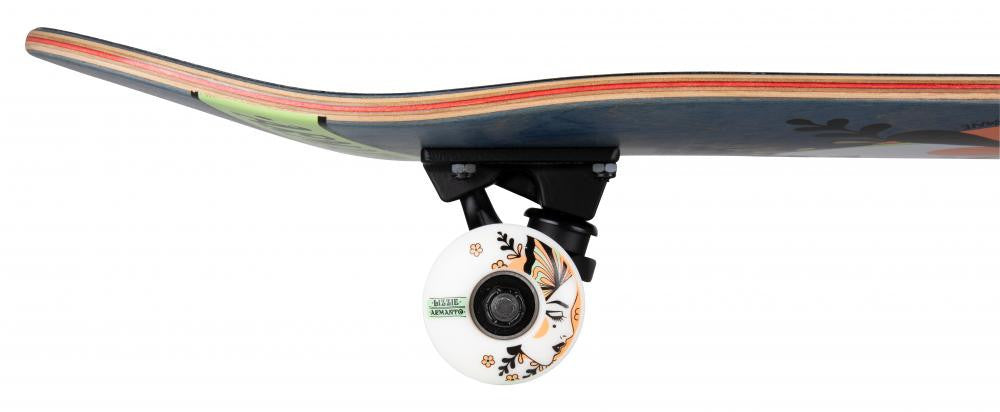 Skateboard Complet Birdhouse
