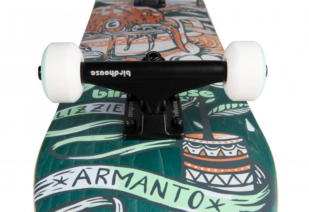 Skateboard Complet Birdhouse