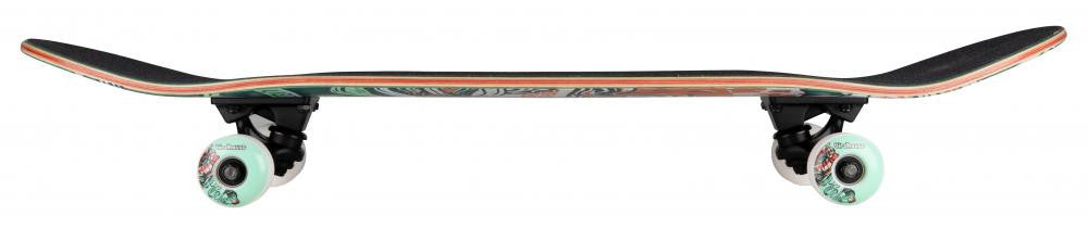 Skateboard Complet Birdhouse