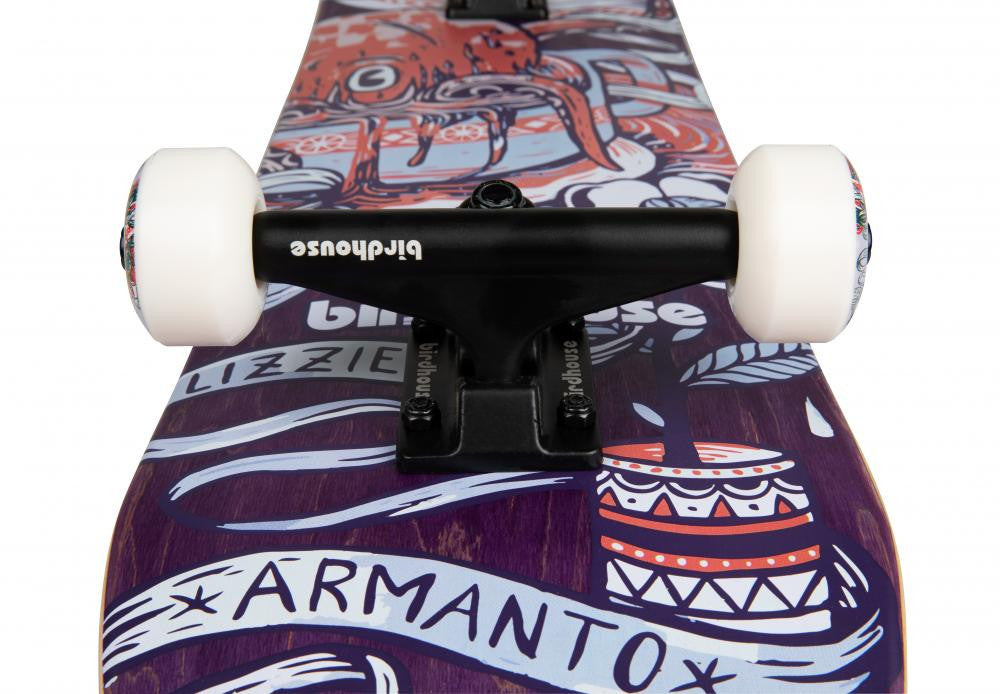 Skateboard Complet Birdhouse
