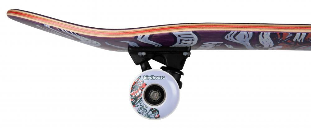 Skateboard Complet Birdhouse