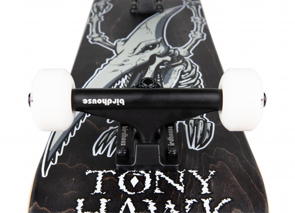 Skateboard Complet Birdhouse