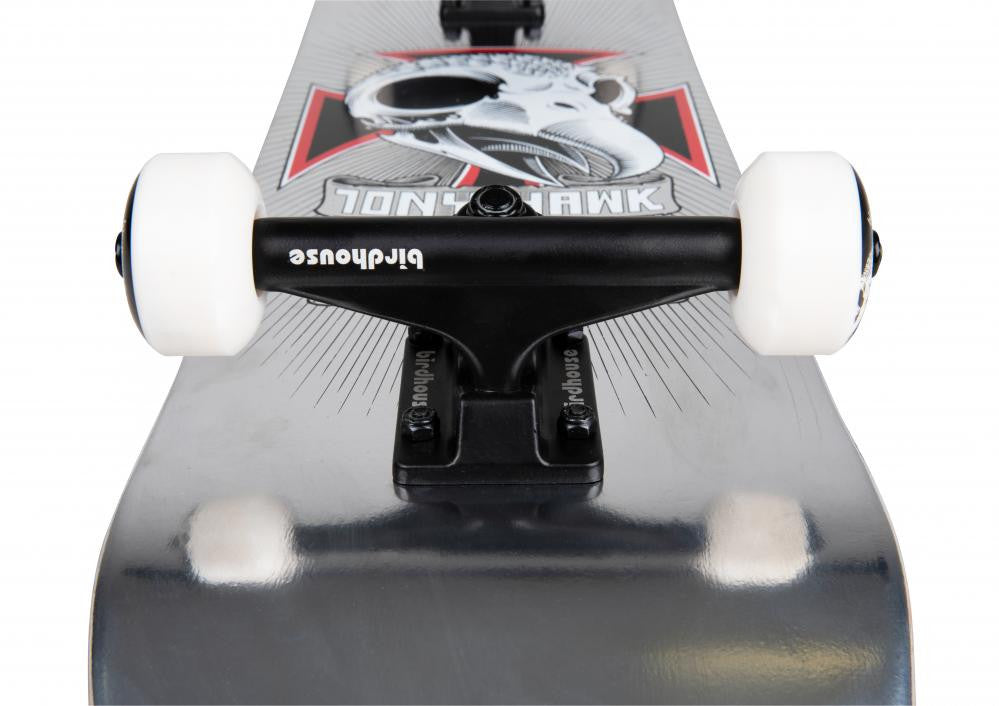 Skateboard Complet Birdhouse