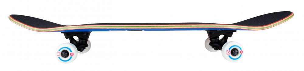 Skateboard Complet Birdhouse