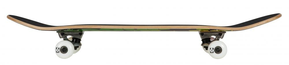 Skateboard Complet Birdhouse