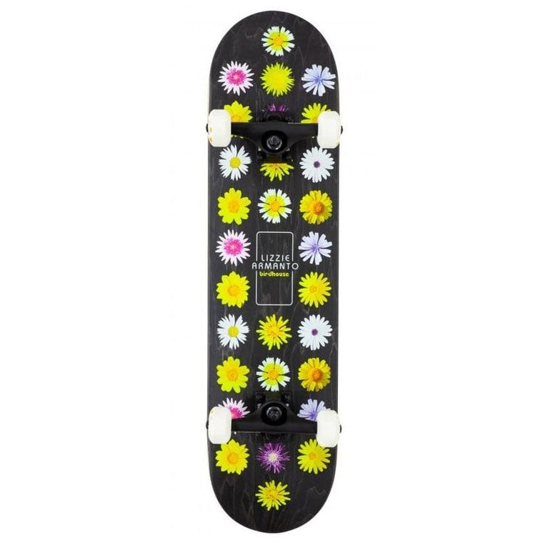 Skateboard Complet Birdhouse