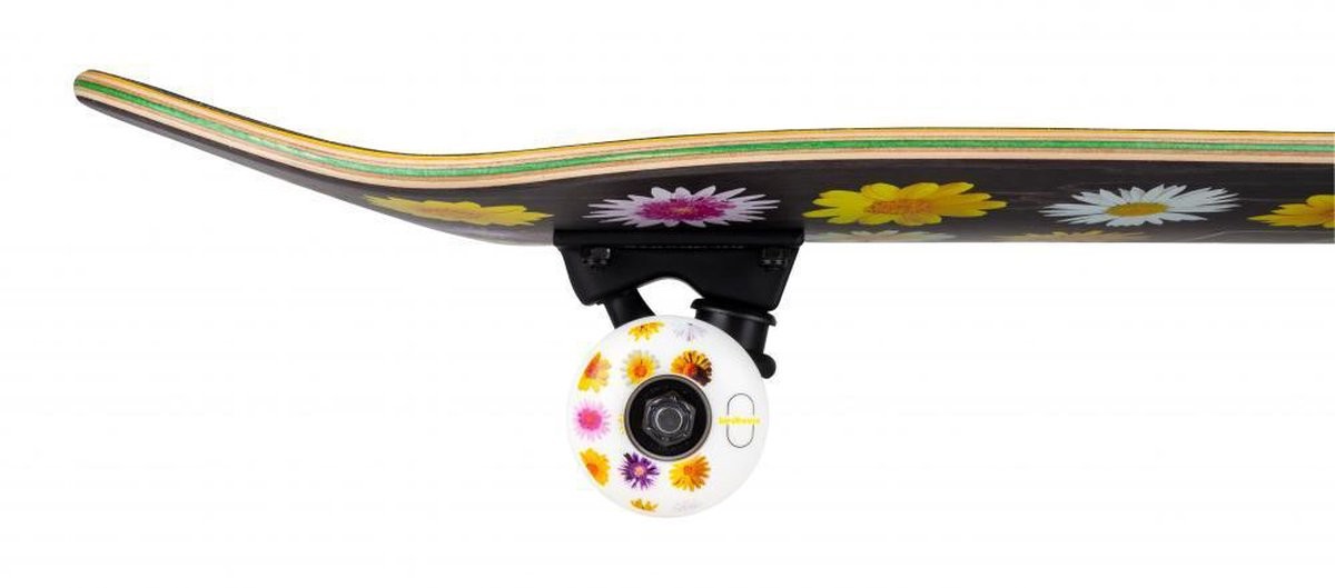 Skateboard Complet Birdhouse