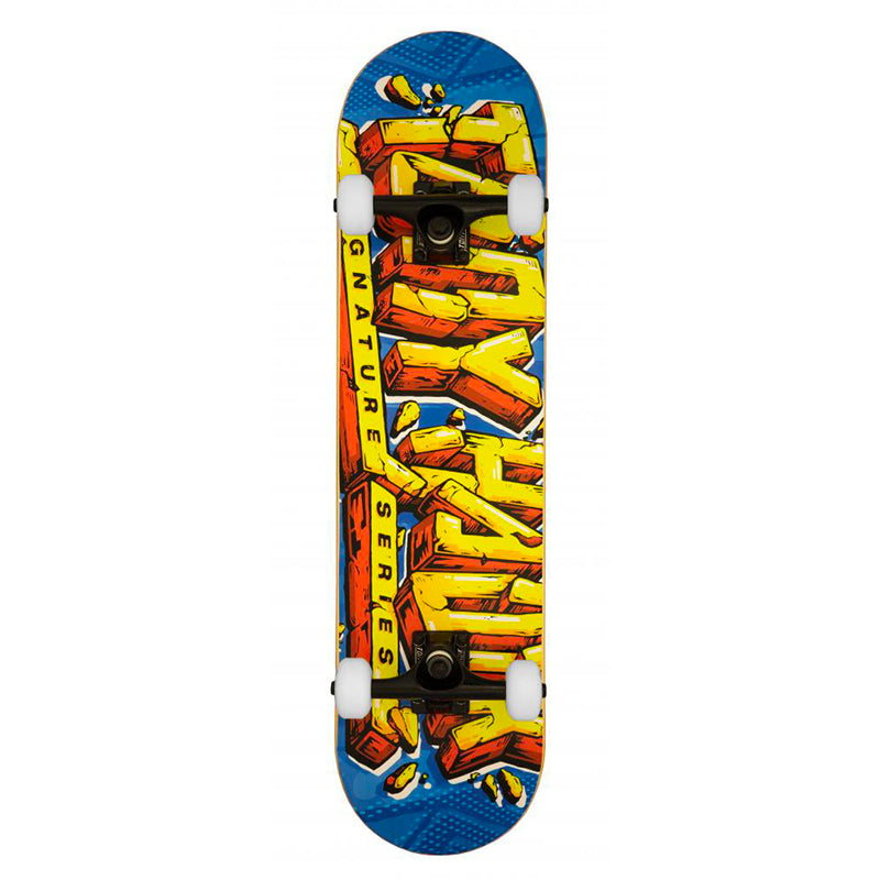 Skateboard Complet Tony Hawk SS 540