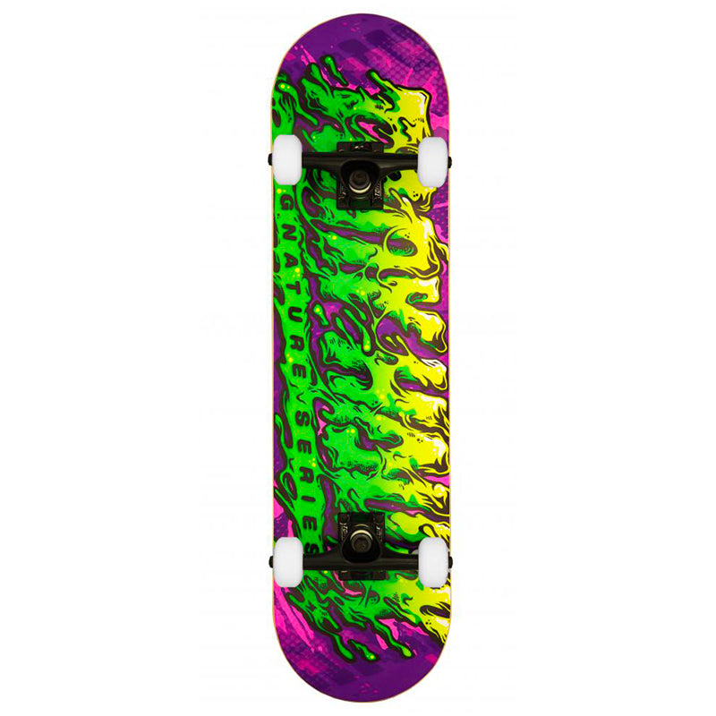 Skateboard Complet Tony Hawk SS 540